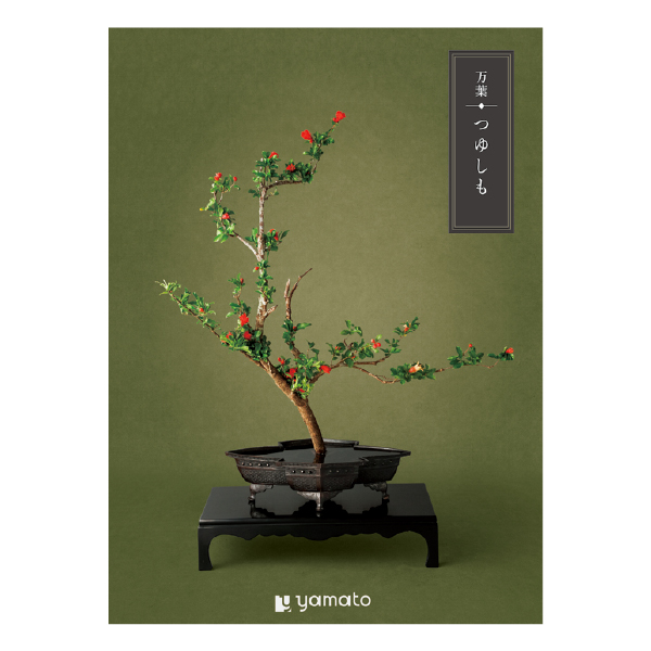 �J�^���O�M�t�g ���t �䂵��